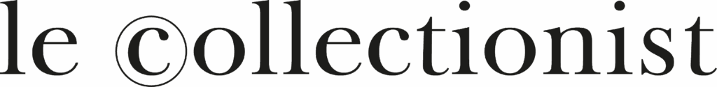 aniort max logo