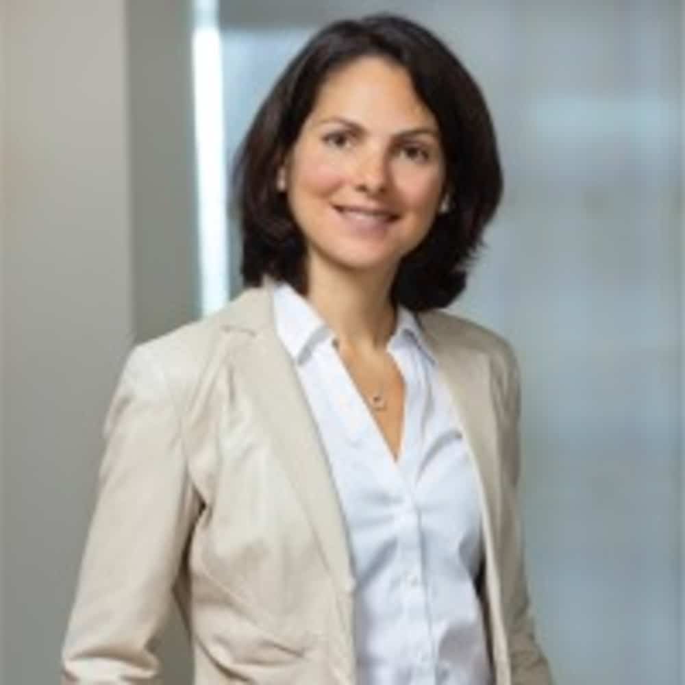 hollinger diane