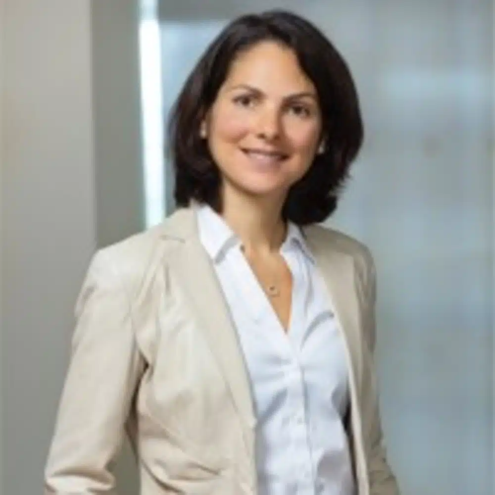 hollinger diane