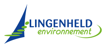 lingenheld auriane