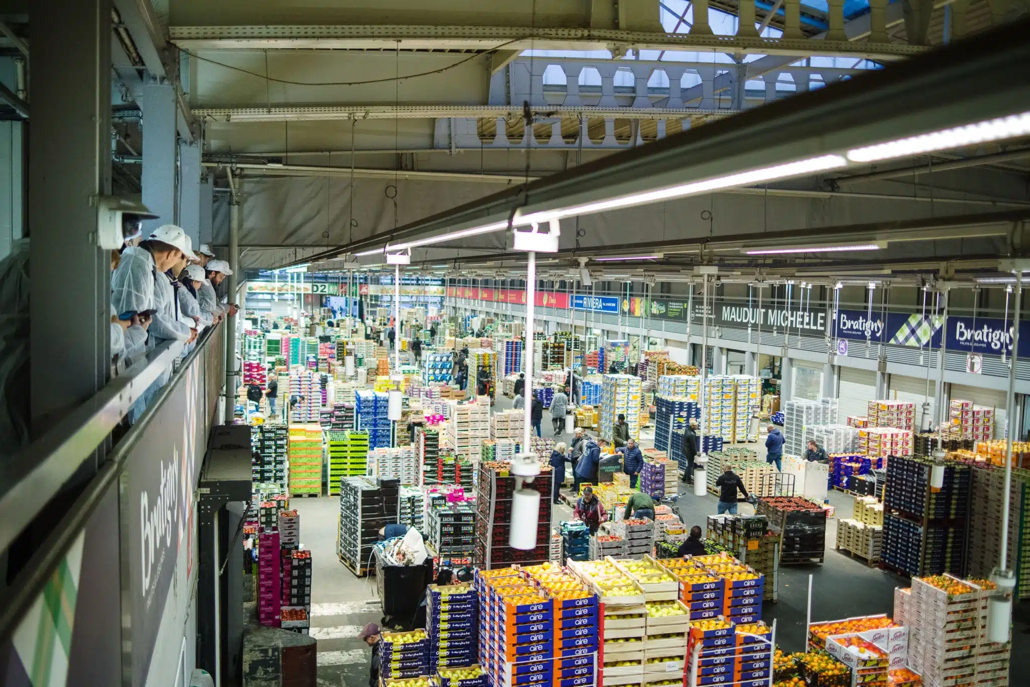 choiseul 2025 novembre 46