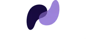 braun julien