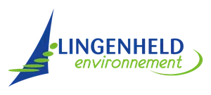 lingenheld auriane