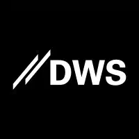 dwsgroup logo