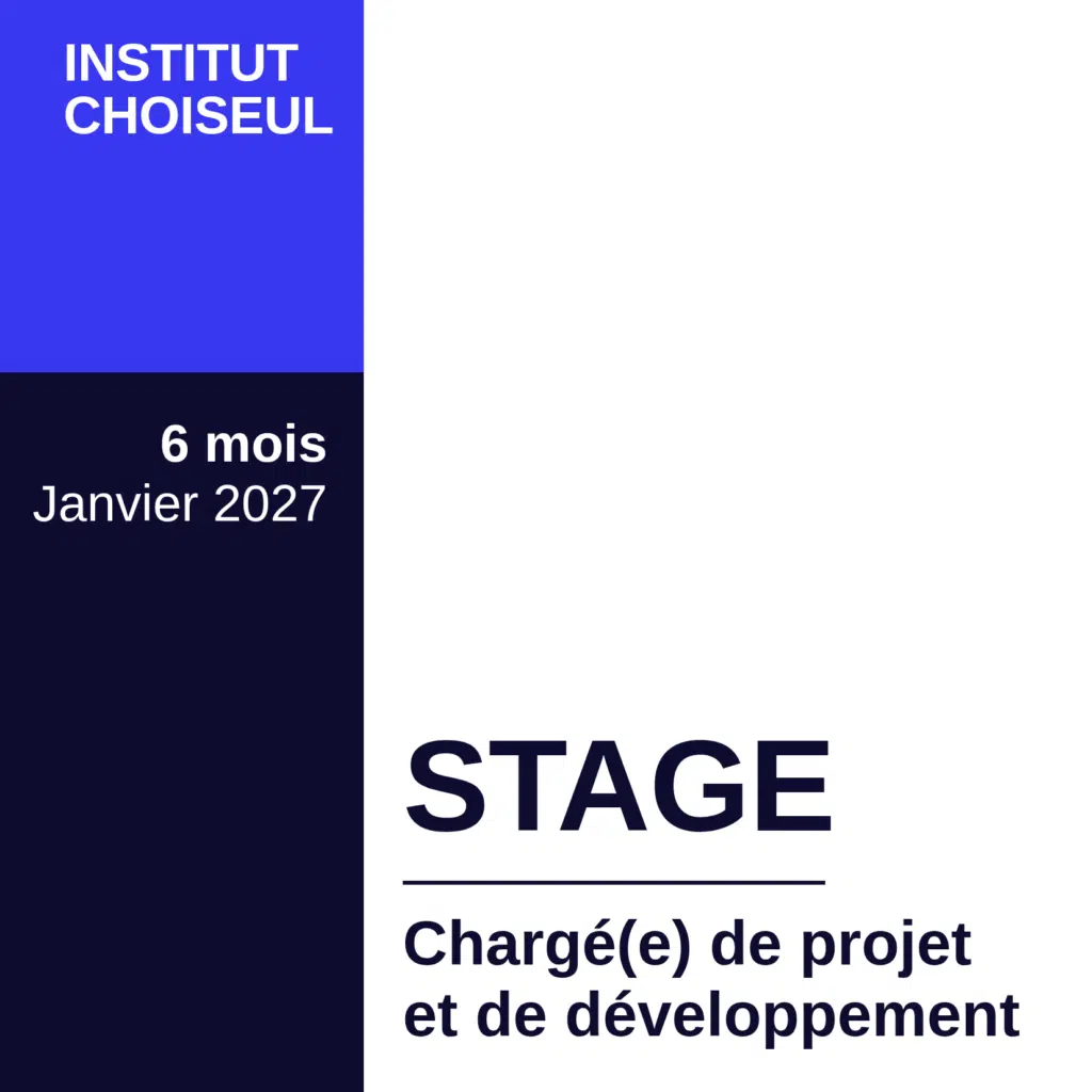 visuel stage charge de projet et developpement janvier2027