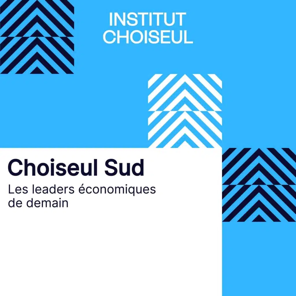 choiseul sud